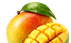 Langra Mango