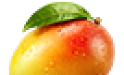 Langra Mango