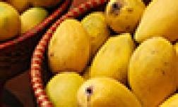 Langra Mango