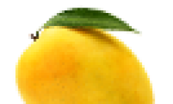 Chaunsa Mango
